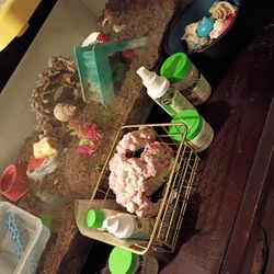 FULL Hermit Crab Habitat & (2) CRABS!