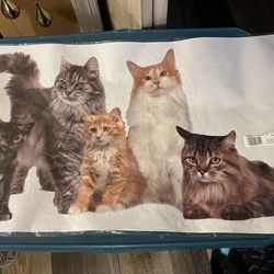 decorative cat-themed window cling featuring 5 cats
