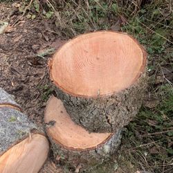 Firewood Seasoned  $450