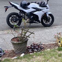 2018 Suzuki Gsxr 250r
