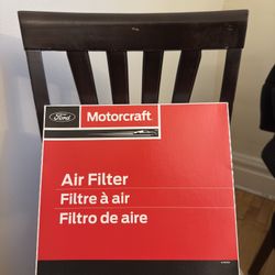Mustang Air Filter