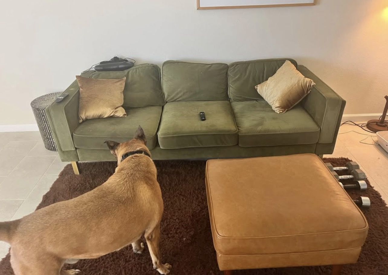 Modern Green Velvet Couch