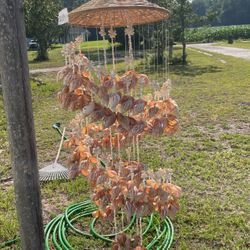Large seashell Chimes 