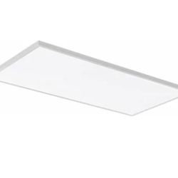 LITHONIA LIGHTING LED PANEL LIGHT 2X4 FT  LED FLAT PANEL 4000 LUMENS 
