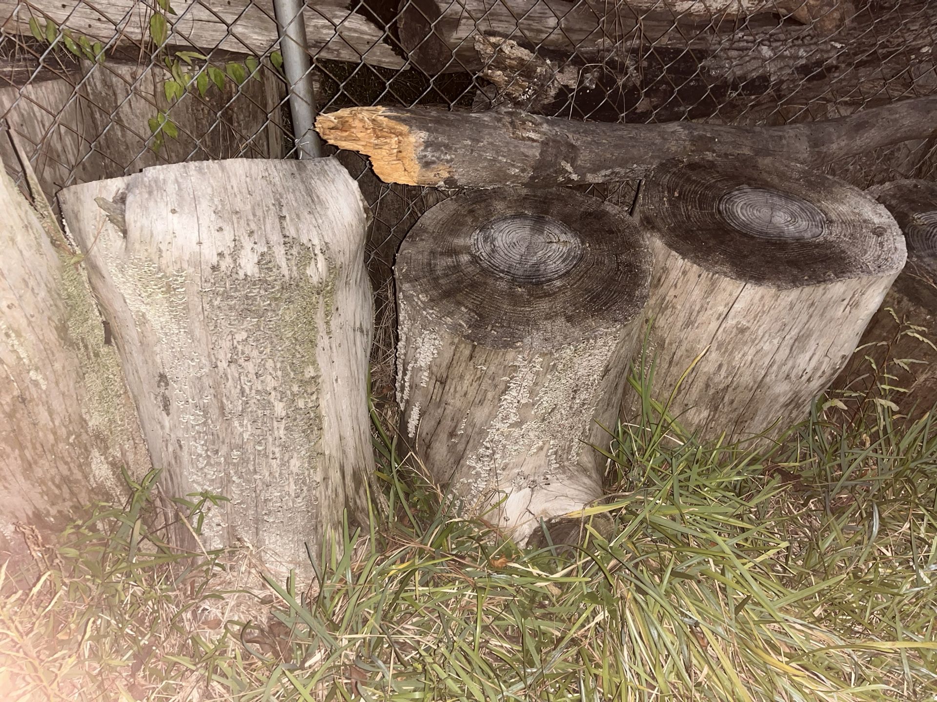 Wood,logs,branches For Sale 25 Take Many As You Want 