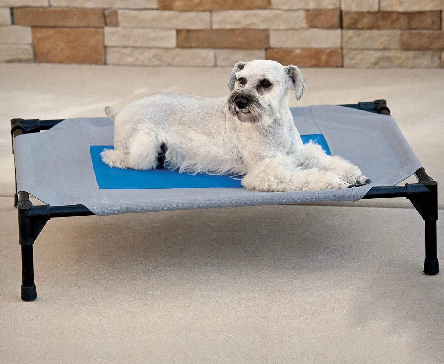 NEW Elevated Cooling Dog Bed, Coolin' Pet Cot, Elevated Dog Cooling Mat, Raised Dog Bed !