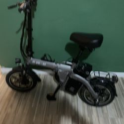 Electric Bike