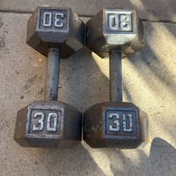 30 Lbs Dumbbells Weights 