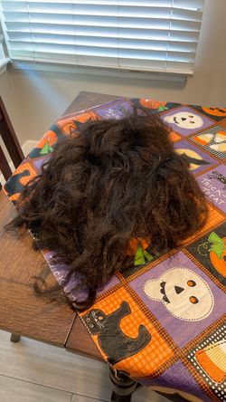Halloween wig