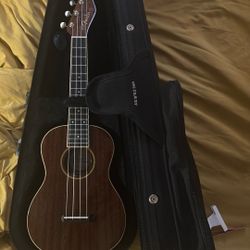 Ukulele 