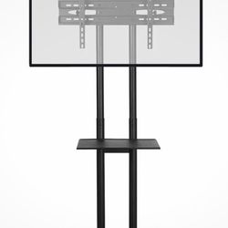 Mobile TV stand