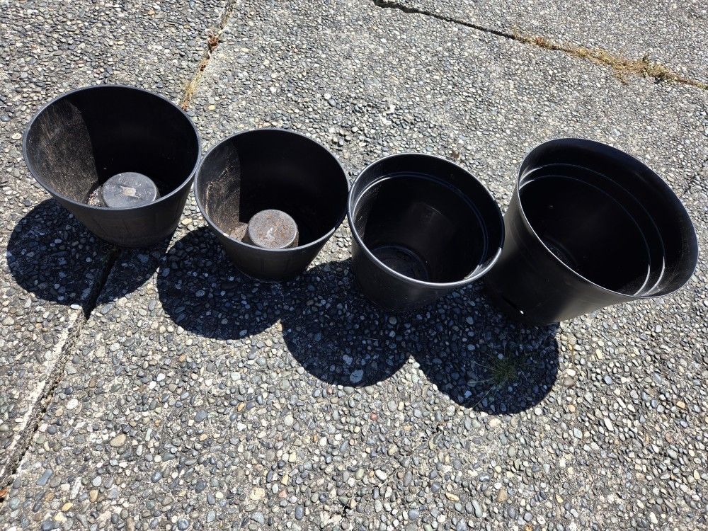 Flower Pots