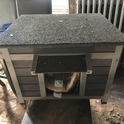 Small Dog House 