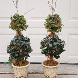 Home Decor: Set of 2: Potted Topiary Spheres