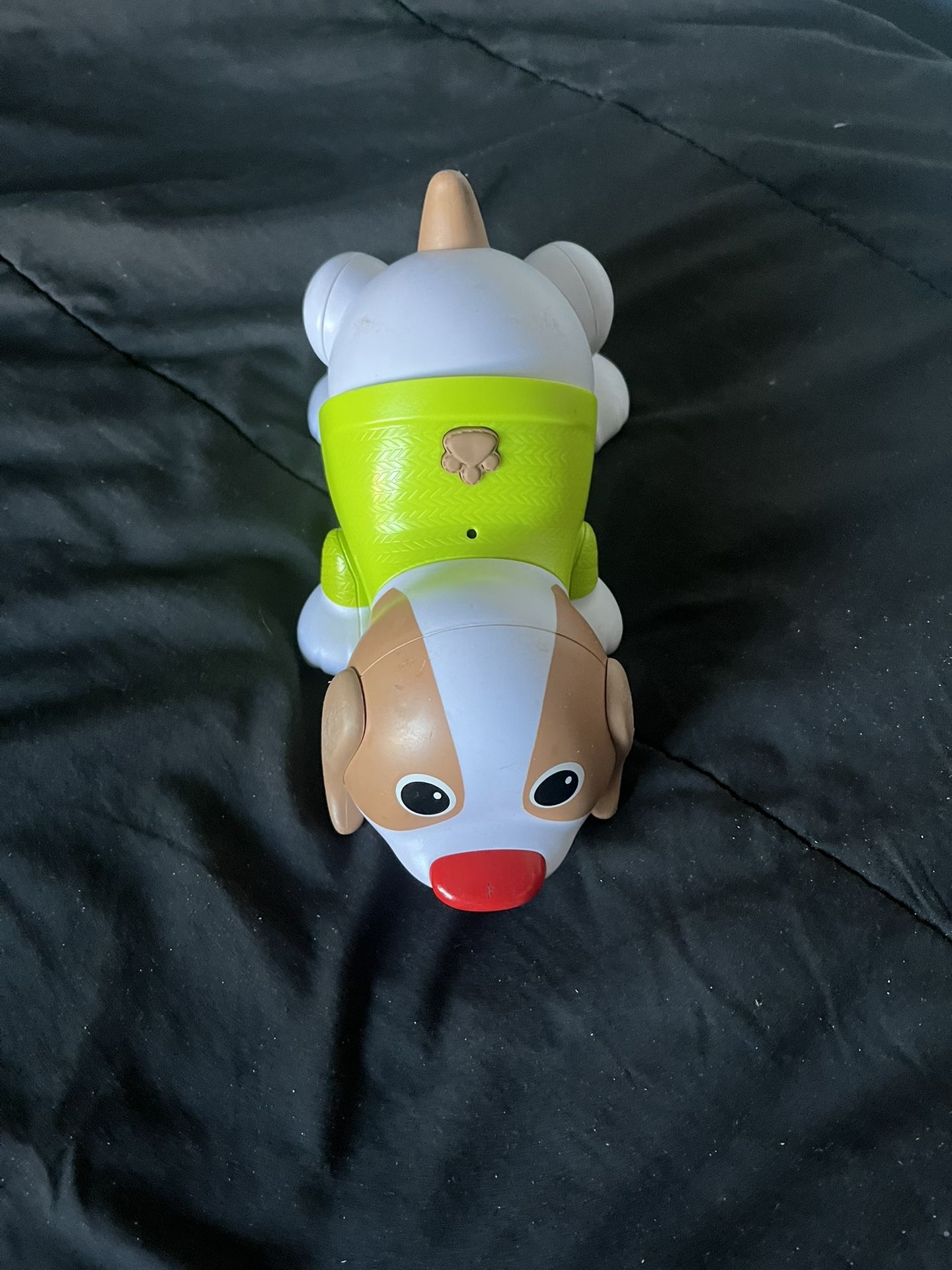 Dog Toy 