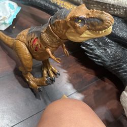 Mid Size Dinosaur