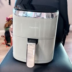 Fabuletta Air Fryer - Sage Green With Silver Accents