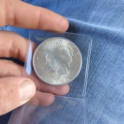 Silver Dollar