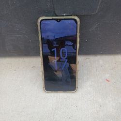 Government Phone Works