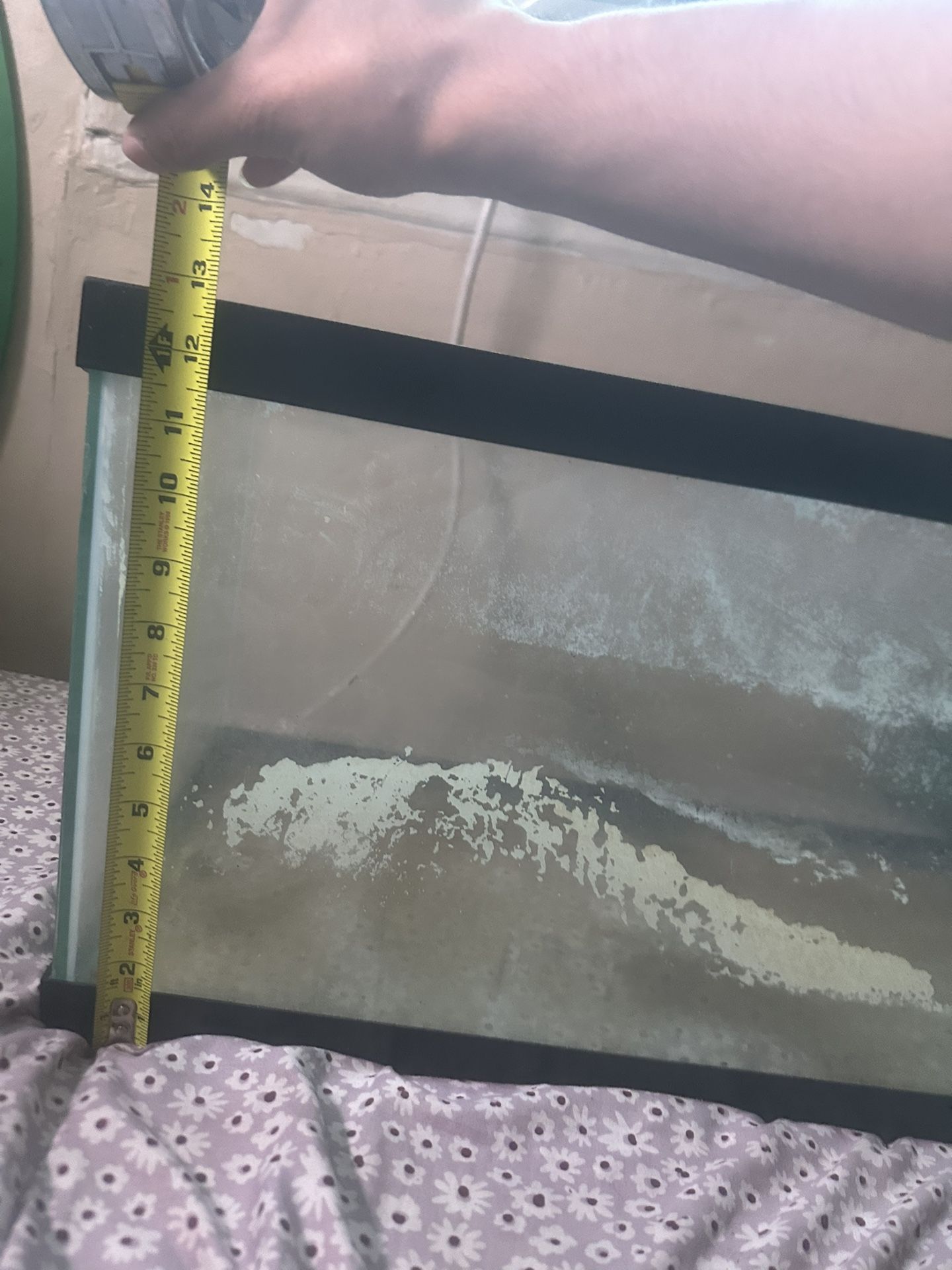20 Gallon Fish Tank