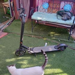 Hii Boy Electric Scooter 