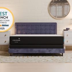 Queen Bed With Memory Foam Mattress 