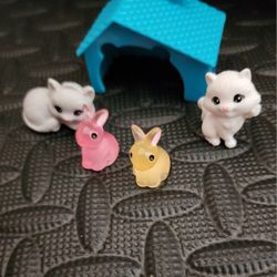 Old Cat Shed