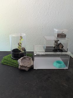 Tarantula Terrariums