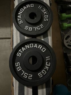 25LBS Plates