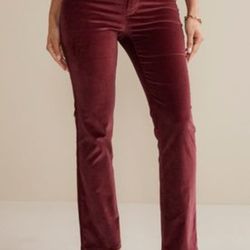 Must Go! Velveteen Pants-Cabernet-Size 18W-Soft Surroundings-Brand New w/Tags