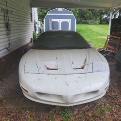 Firebird For Sale
