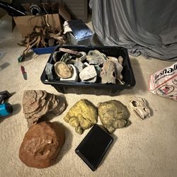 Reptile / Amphibian / Insect Supplies For Sale 