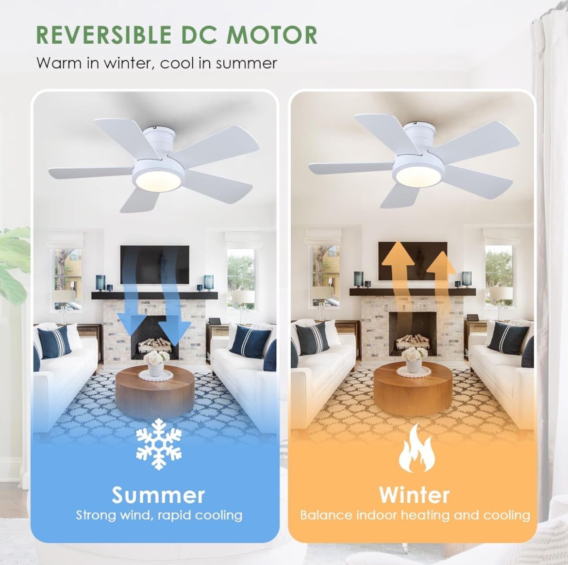 New Ceiling Fans With Light (BW1)