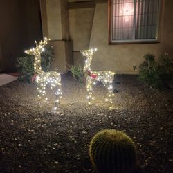 Lighted Deer Christmas Decorations 