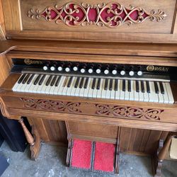 Organ