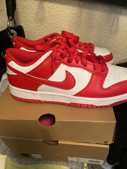 Nike Dunk Size 8