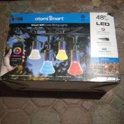 Smart Wifi Color String Lights