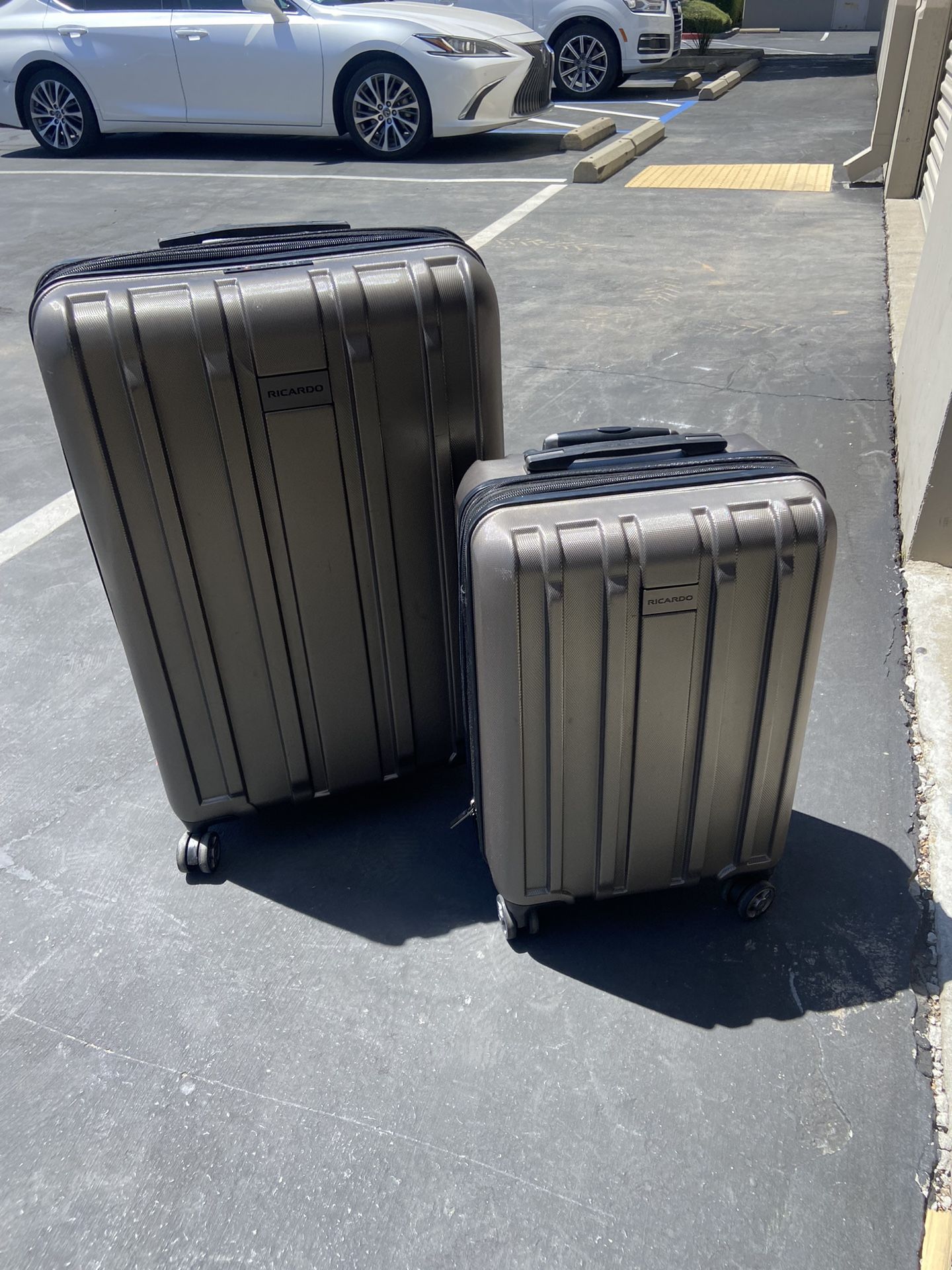 Ricardo Penguin Luggage Set