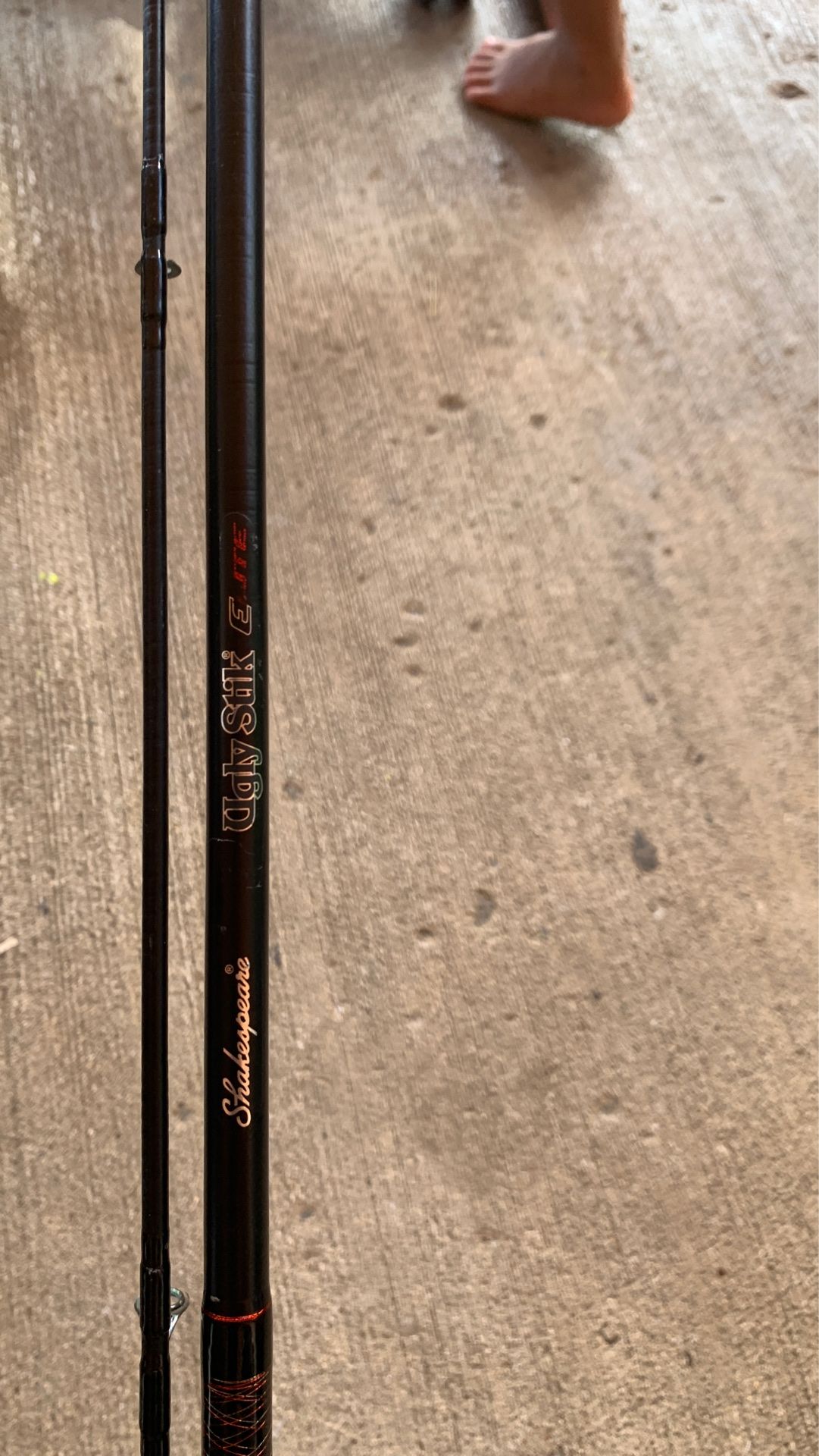 Fishing pole and reel