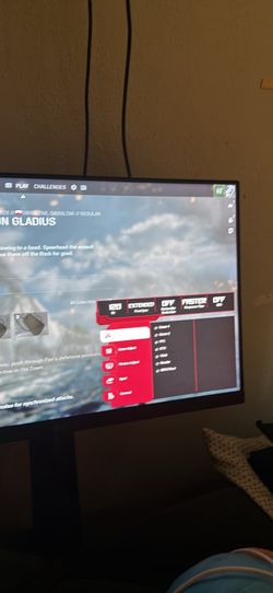 Gaming Monitor