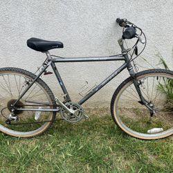 Vintage Miyata mountain bike $350