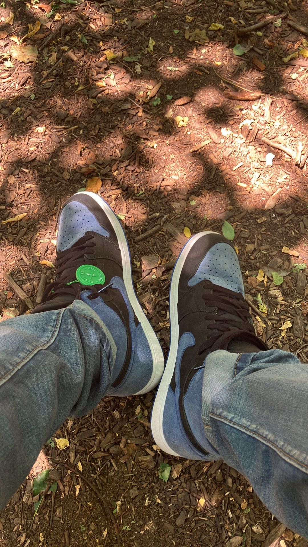 Jordan 1 Royal Reimagined