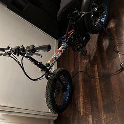 Ecotric electric Bike