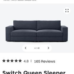 Coddle Queen Sleeping Sofa Bed