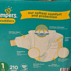 210 Count Size 1 Pampers 