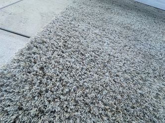 Free Rug
