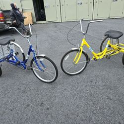 Sun Adult Trikes 