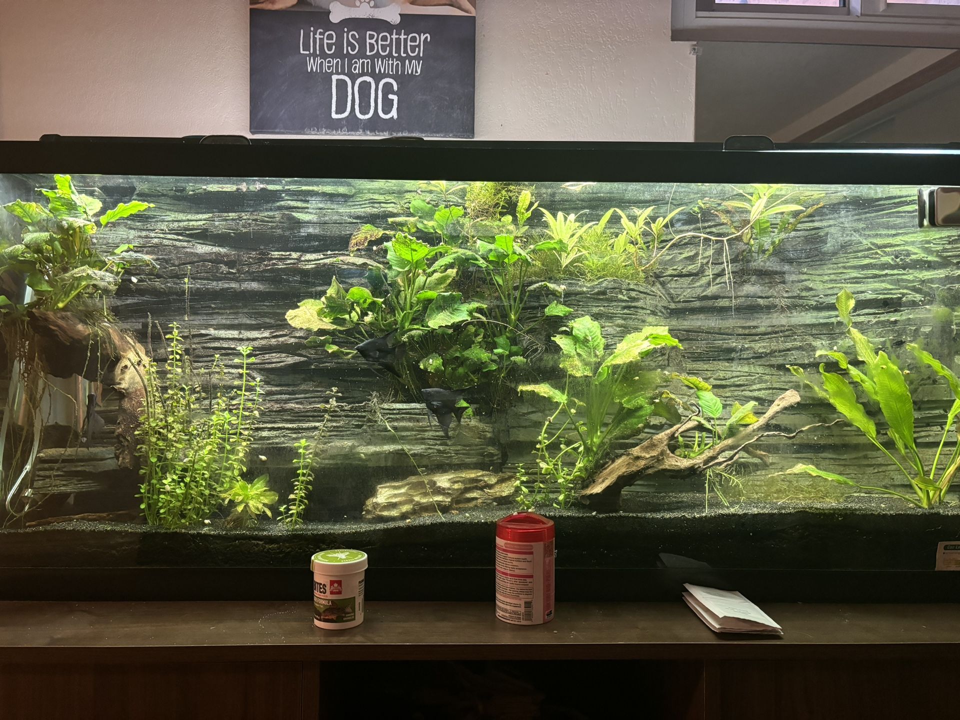 High Tech 55 Gallon Fish tank And Stand