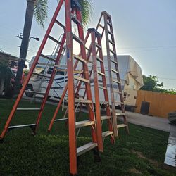 Warner Ladder 8ft