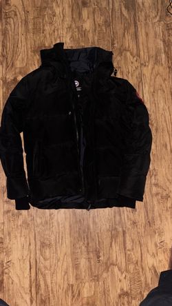 Canada goose L